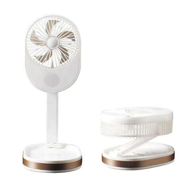 Folding Fan R8