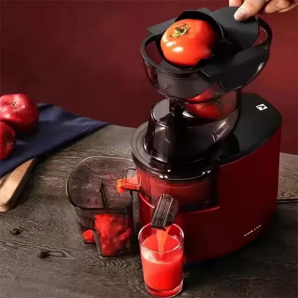 Sokany JE-25 Masticating Extractor Juicer