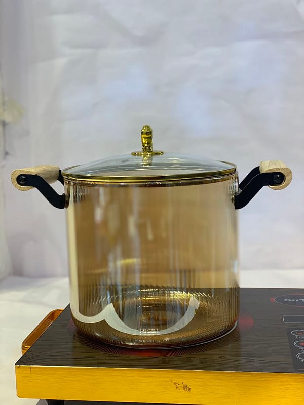 Borosilicate Glass Cooking Pot with Wooden Handles - 5.5L